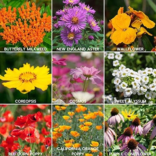 Mountain Valley Seed Co Save the Bees Wildflower Seed Shaker - ~100,000+ | Wildflower Seeds for Planting with 19 Varieties, Easy Seed Shaker, Attracts Bees and Pollinators, Covers up to 370 Sq Ft