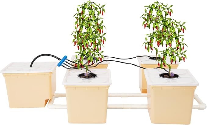 DWC Hydroponic System, 3-Gallon 5 Buckets Deep Water Culture, Recirculating Drip Garden System with Submerged Pump for Growing Vegetables, Hydroponics Grow Kit for Indoor/Outdoor Leafy Vegetables
