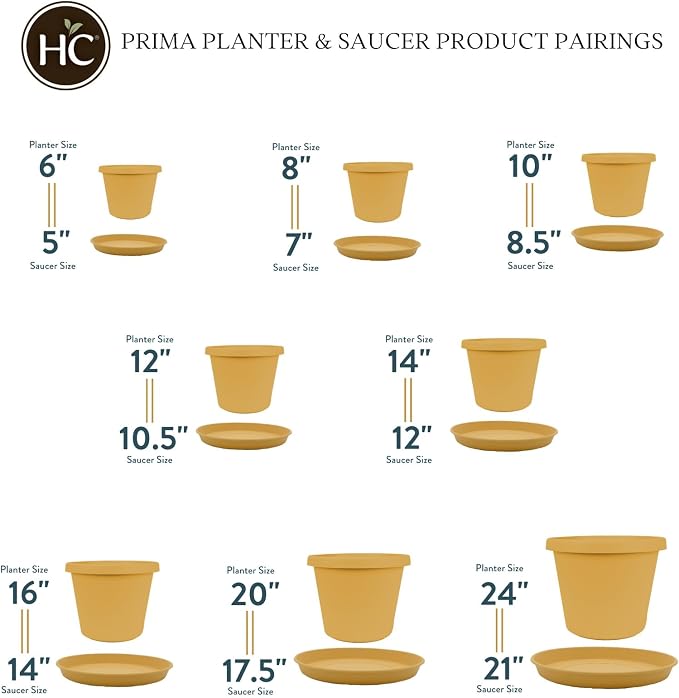 The HC Companies Round Prima Flower Pot Saucers - Plastic Plant Saucer for Outdoors & Indoors - Traditional Plant Pot Trays for Water Drainage -Durable Plant Tray (12-inch Honey, Pack of 1)