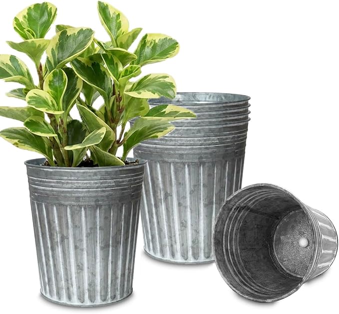 vensovo 7 Inch Galvanized Bucket Planter - 6 Pack Metal Flower Pots with Drainage Holes & Plugs, Rustic Silver Tin Pots for Indoor Herbs, Outdoor Succulents, Farmhouse Home Garden Decor