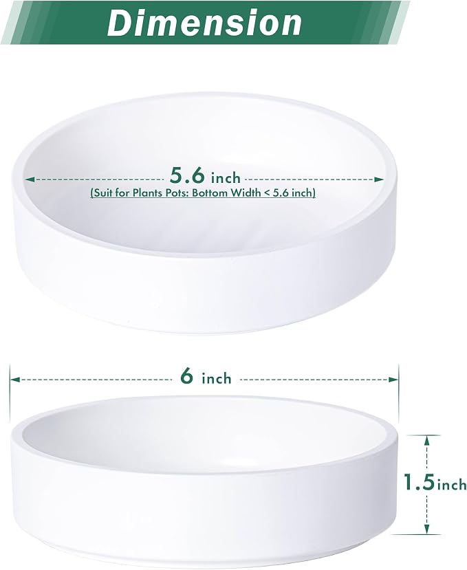 Phoenix Vine 6 Inch Plastic Plant Saucer Water Drip Tray, Heavy Sturdy Round Plant Drainage Tray for Indoors Outdoor, Set of 4, Matte White, 21-TY-6W-4