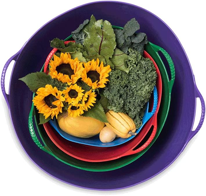 Red Gorilla Large Flexible Plastic Tub, Toy Storage, Laundry, Gardening & More, 38 Liter/10 Gallon, Blue