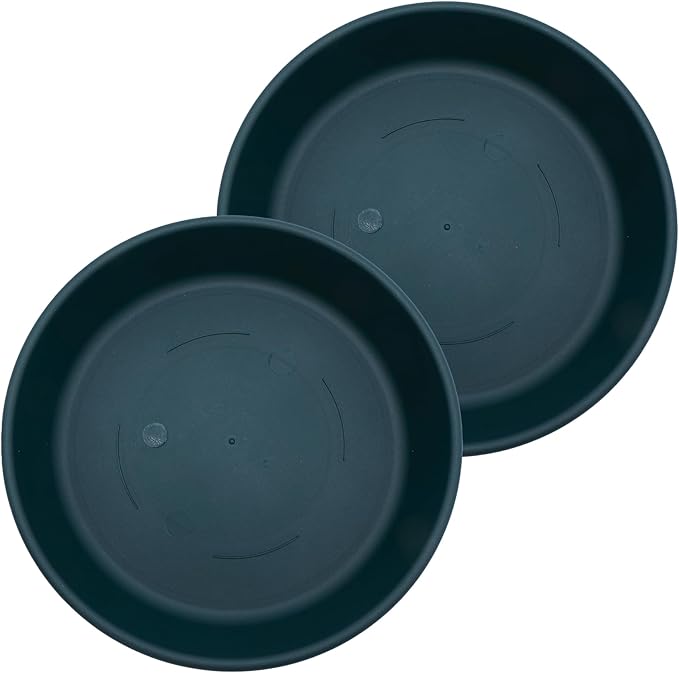 The HC Companies 16 Inch Classic Round Plant Saucer, Lightweight UV-Resistant Plastic Outdoor & Indoor Flower Pot Tray, 2-Pack Plant Pot Trays for Garden & Home Decor, Evergreen