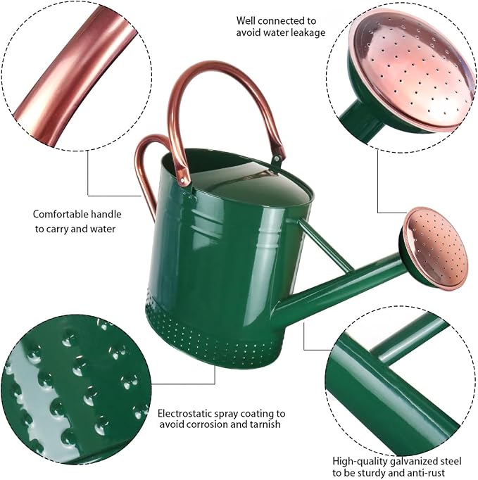2 Gallon Meltal Garden Watering Can Removable Spout, Galvanized Steel Large Water Can with Embossed Design for Outdoor Indoor Plants (Green, 2 Gallon)