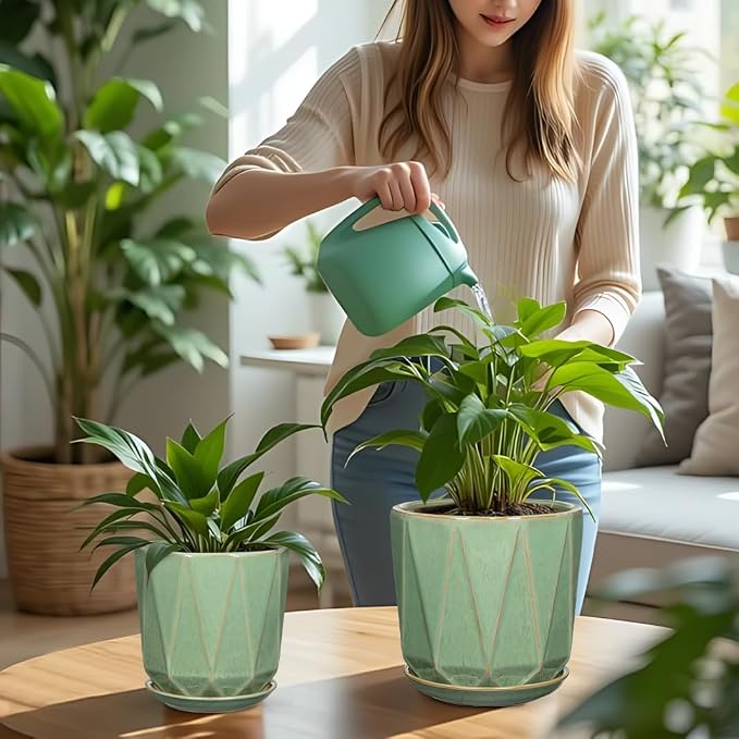 Oairse Ceramic Pots for Plants, 8+6 inch Plant Pots with Drainages Holes & Saucers Large Sage Green Ceramic Planters Decorative Flower Pot for Indoor Plants Outdoor Inoor
