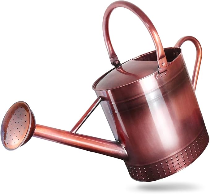 2 Gallon Meltal Garden Watering Can Removable Spout, Galvanized Steel Large Water Can with Embossed Design for Outdoor Indoor Plants (Copper, 2 Gallon)