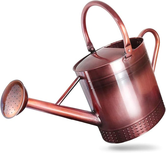 2 Gallon Meltal Garden Watering Can Removable Spout, Galvanized Steel Large Water Can with Embossed Design for Outdoor Indoor Plants (Copper, 2 Gallon)