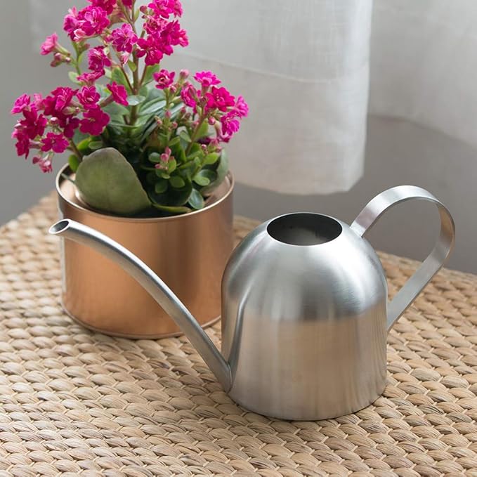Watering Can for Indoor Plants, 30oz Long Spout Stainless Steel | Long Spout Design Delivers Precise Watering Directly To Plant Roots