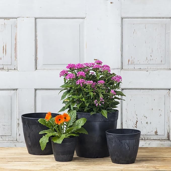 Root & Vessel Dolce Round Planter, Black, 6"