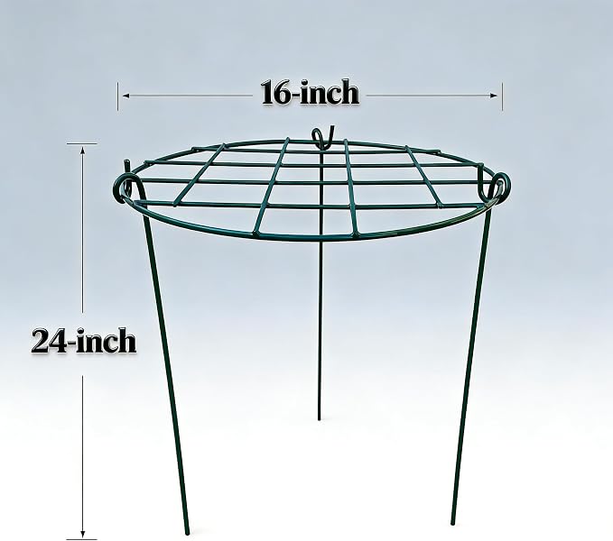 MTB Supply 10 Pack 16 x 24 inch Green Peony Cages Grow Through Plant Support Stakes Flower Support Hoops Heavy Plants Brace Rings