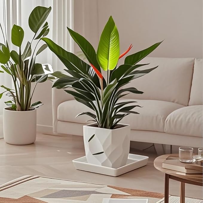 Square Ceramic Plant Saucer Tray 12 13 14 Inch White,14" OD x12.2 ID x1.6 Deep, Sturdy Heavy Duty Glazed Planter Drip Flower pots with Catch Basin for Indoor Outdoor Plants(14" White)