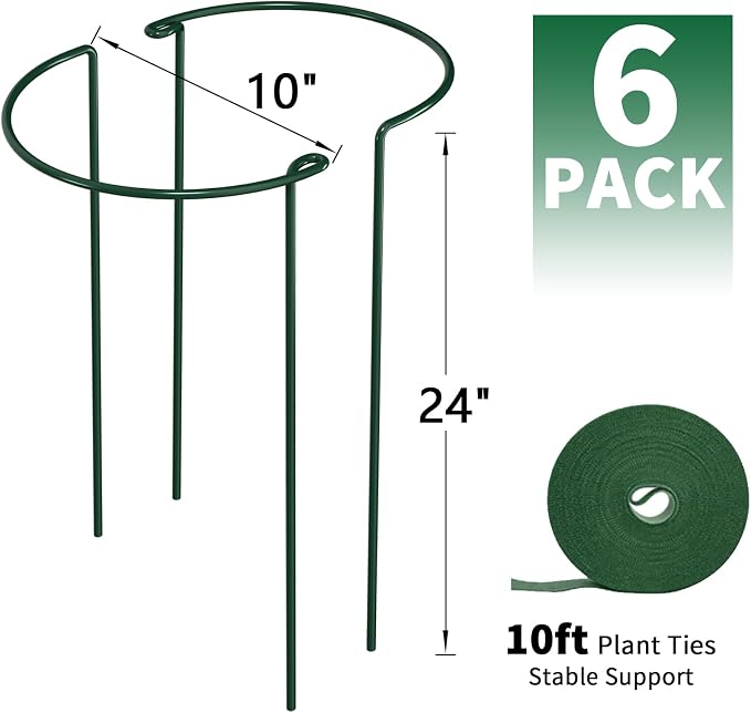 AMAGABELI 6 Pack 24 Inch Plant Support Stakes Peony Cage Heavy Duty Ring Metal Garden Support Structures Plant Cage with Ties for Indoor Flower Outdoor Tomato Hydrangea Monstera