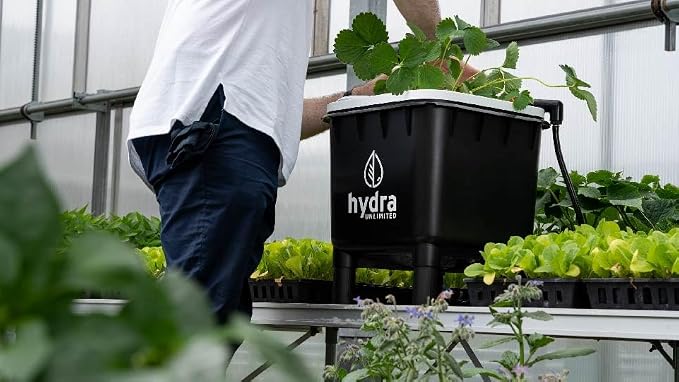 Hydramax Chiller-Ready 2 Bucket, 1 Row RDWC System