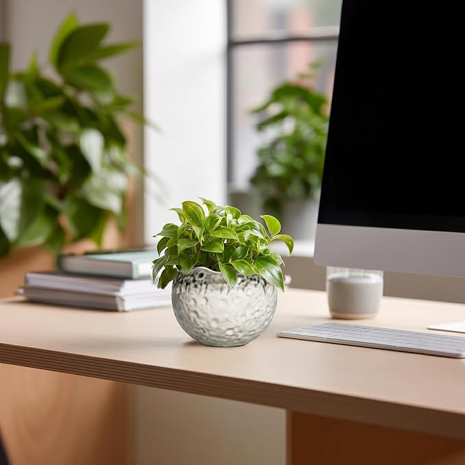 Ceramic Plant Pots 4 Inch - Small Ceramic Planter with Drainage Hole and Plug, Modern Unique Pots for Plants Indoor Outdoor, Decorative Round Planter, Home Decor, Garde Gifts, Beige-Grey