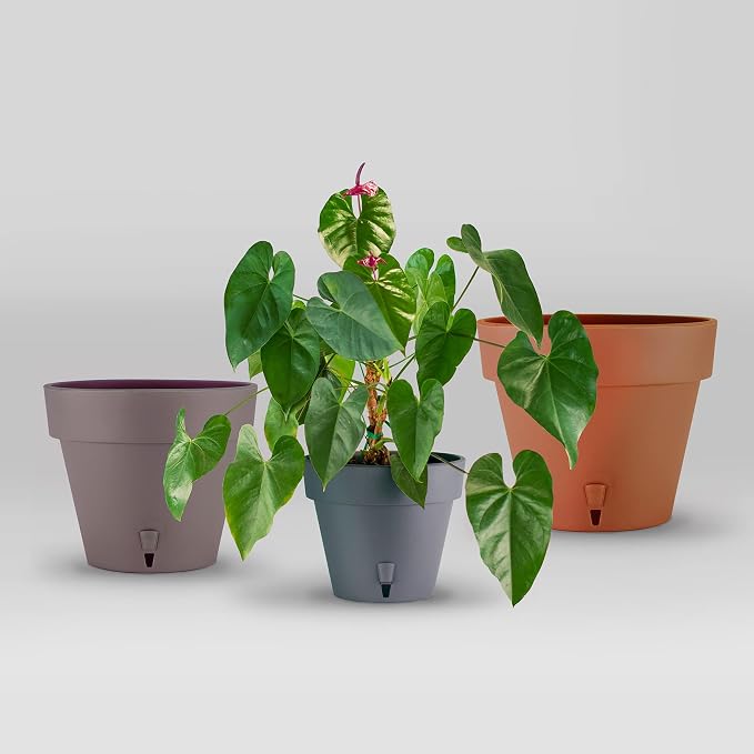 DECOPOTS - Pack of 3 - Self Watering Planter - Height 6.9 inches - Flower Pot with Bottom Watering Level Indicator for All House Plants, Flowers, Herbs (Diameter 6.9", Shade)