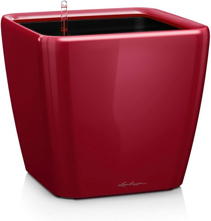 Lechuza Quadro LS 35 Scarlet Red High Gloss, Self-Watering Square Planter, H13 L13.8 W13.8 in