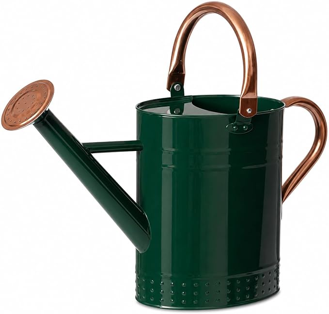 Gardenised 1 Gallon Galvanized Metal Watering Can with Removable Long Spout & Sprinkler Head for Indoor & Outdoor Use Ideal for Garden Flowers Potted Plants Houseplants Modern Home Accessories, Green
