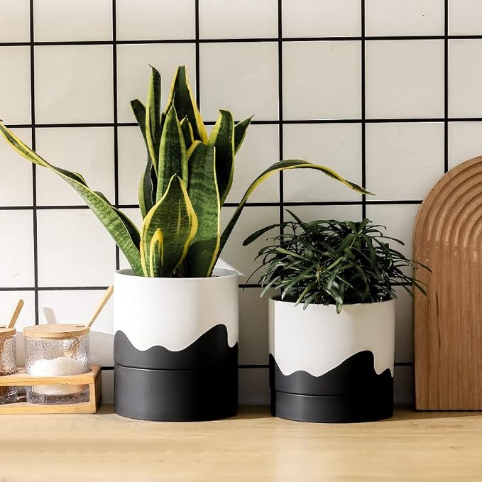 Nihow Ceramic Self Watering Plant Pot for Indoor Plants,6 Inch,White Black | Planter with Cotton Wick, Drainage Hole & Water Storage Plus, Cylinder Round Flower Pot, For Succulent/Herbs/Violets