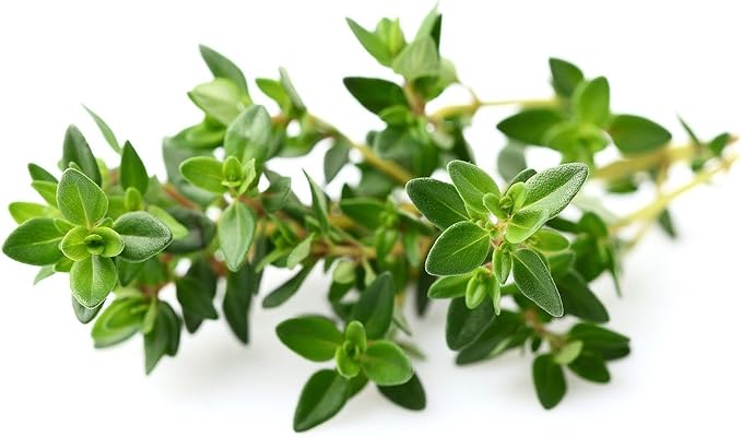 Click and Grow Smart Garden Thyme Plant Pods, 3-Pack