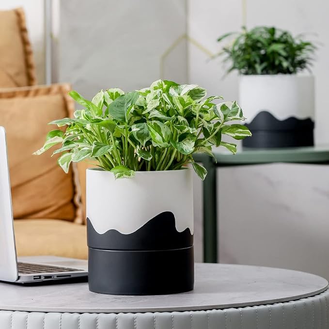 Nihow Ceramic Self Watering Plant Pot for Indoor Plants,6 Inch,White Black | Planter with Cotton Wick, Drainage Hole & Water Storage Plus, Cylinder Round Flower Pot, For Succulent/Herbs/Violets