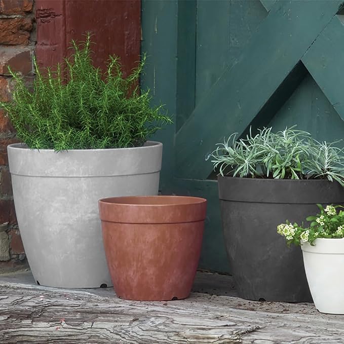 Root & Vessel Dolce Round Planter, Black, 6"