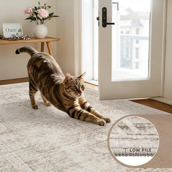 Round Area Rug Living Room: 8ft Neutral Washable Carpet Rug Brown | Vintage Boho Circle Soft Large Circular Carpet Bedroom Nursery Farmhouse Dining Room Indoor Decor Floor Non-Slip Under Table