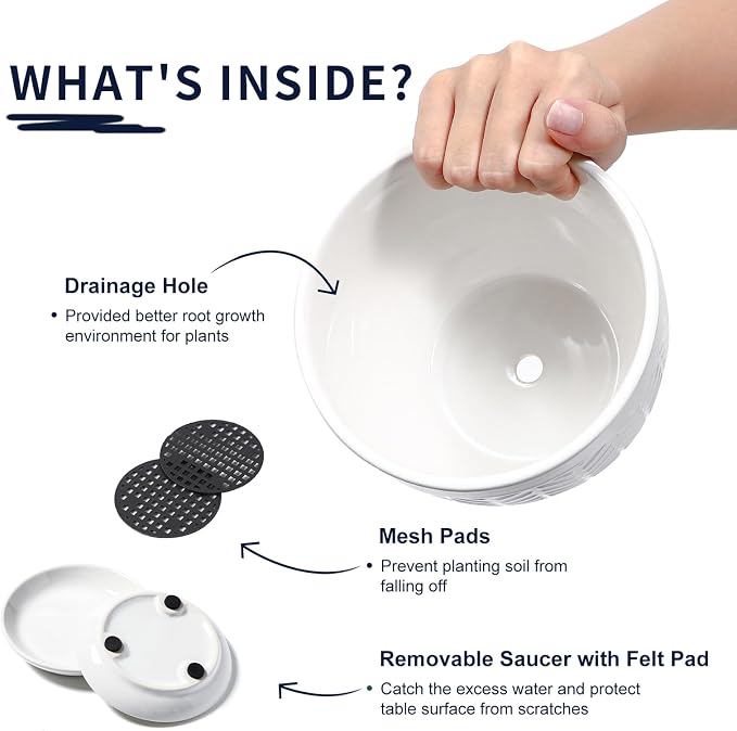 Sureasy Ceramic Indoor Plant Pots - 5.6 Inch Flower Pots for Plants with Drainage Hole and Saucer, Embossed Planter for Succulents, Orchid, Cactus, Indoor Home Decor, Set of 4, White