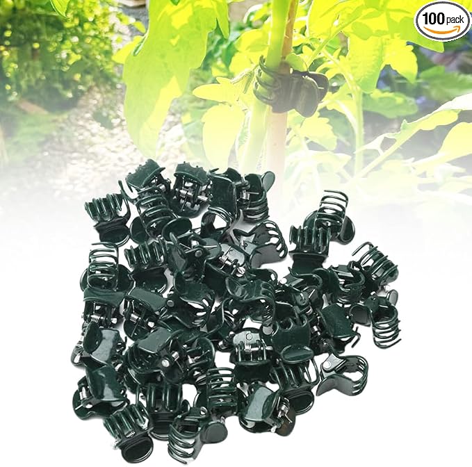 100PCS Plant Clips for Climbing Plants, Orchid Clips Plant Support Clips Secured Plastic Plant Clips, Plant Fixing Clips Reusable Garden Clips Vine Clips for Supporting Stems Vines Grow (Dark Green)