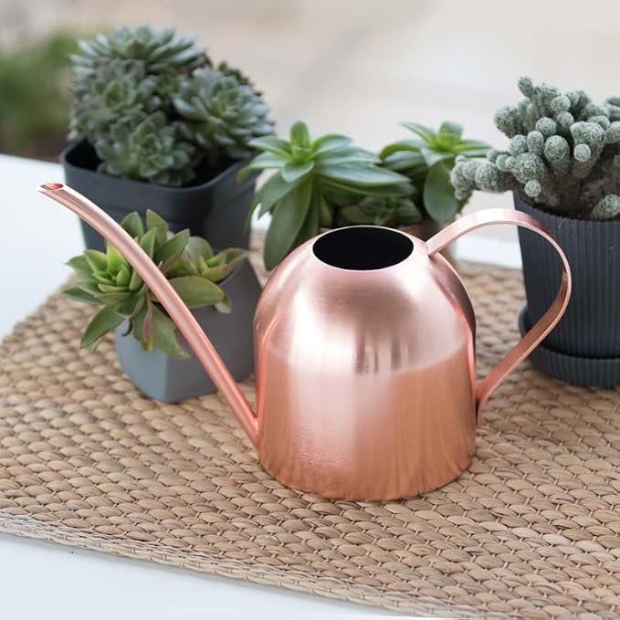 Stainless Steel Water Can for Indoor Plants and Garden (Rose Gold 50 oz)
