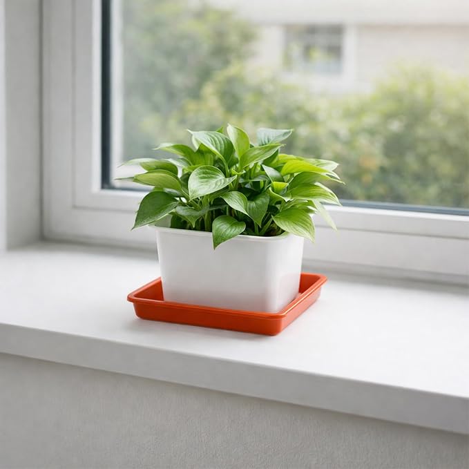 10 Pack Square Plant Saucer 4.7 Inches Plant Trays for Pots Plastic Round Drip Trays Flower Pot Saucers Black Planter Water Tray Plant Drainage Tray, Brick Red