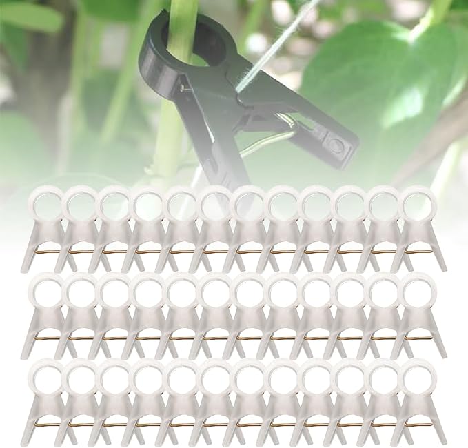 Plant Support Clips Reusable Garden Clips, Secured Plastic Plant Clips for Climbing Plants Outdoor, Plant Fixing Clips Tomato Clips for String Trellis, Vine Clips Trellis Clips (50, Clear_30MM)
