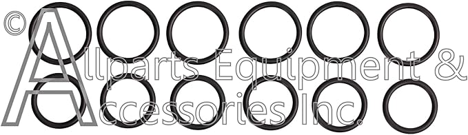 Kit 123 General Pump Compatible OEM Replacement Valve Repair Kit for General Pump and Interpump (See Description for Models), Made in Italy, Exceeds OEM Standards