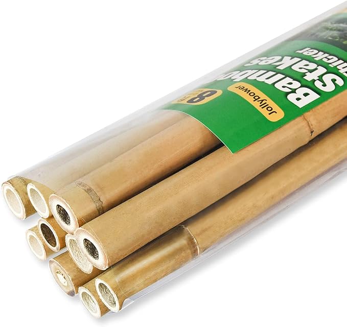 Jollybower 10pcs 1" D Thicker Heavy Duty Bamboo Stakes, 8FT Plant Stakes, Natural Garden Stakes for Tomato, Bean, Flowers,Trees Potted and Climbing Plant Support