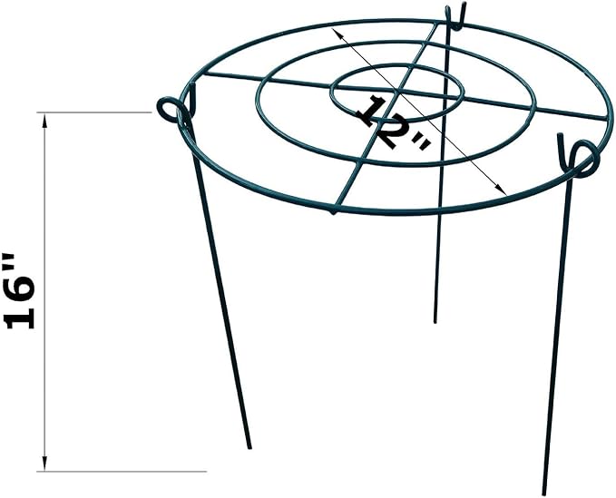 10 Pack 12"x16" Peony Cages Plant Support Stakes Grow Through Grid Grow Through Hoops, Metal Flower Plant Brace Support Ring for Heavy Blossom