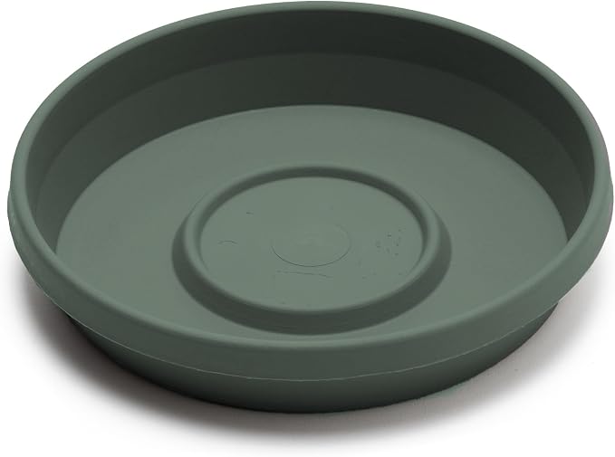 Bloem Terra 16" Round Plastic Plant Saucer, Lightweight UV-Resistant Indoor/Outdoor Flower Pot Tray - Fits 16-inch Planter Pots, Basil, 2-Pack