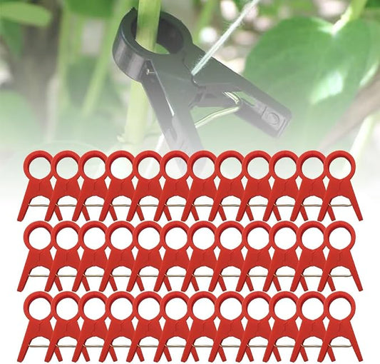 Drkicsy Plant Support Clips Reusable Garden Clips, Secured Plastic Plant Clips for Climbing Plants Outdoor, Plant Fixing Clips Tomato Clips for String Trellis, Vine Clips Trellis Clips (50, Red_30MM)