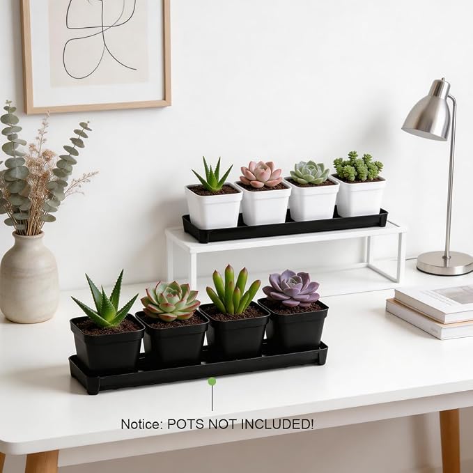 10 Pack Plastic Windowsill Plant Pot Trays (16"x5.5"x1.5"), Rectangular Window Sill Saucer with Removable Drainage Hole, Thick Plant Saucer Tray for 4 inch (10CM) Flower Seedling Pots (Black)