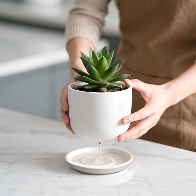 Ceramic Plant Pots,White 5.5 Inch Flower Pots for Plants,Ceramic Planter with Drainage Holes,Indoor Planter Pots with Saucer,Outdoor Garden Pots (White, 4 Pack)