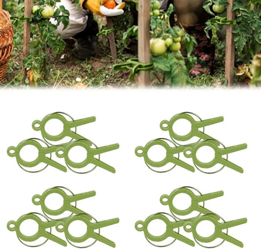 Plant Clips, 2026 Upgrade Plant Support Clips Reusable Garden Clips, Secured Plastic Plant Clips, Tomato Trellis Clips Plant Vine Fixing Clips for Climbing Plants Indoor Outdoor (Green*24)
