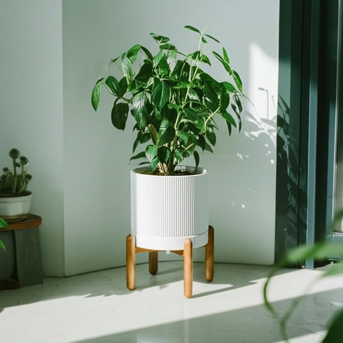 HERDUK 8 Inch Ceramic Planter with Natural Wood Stand w/Drainage & Saucer - Modern Indoor Planter for Cacti, Snake Plants & Aloe Vera