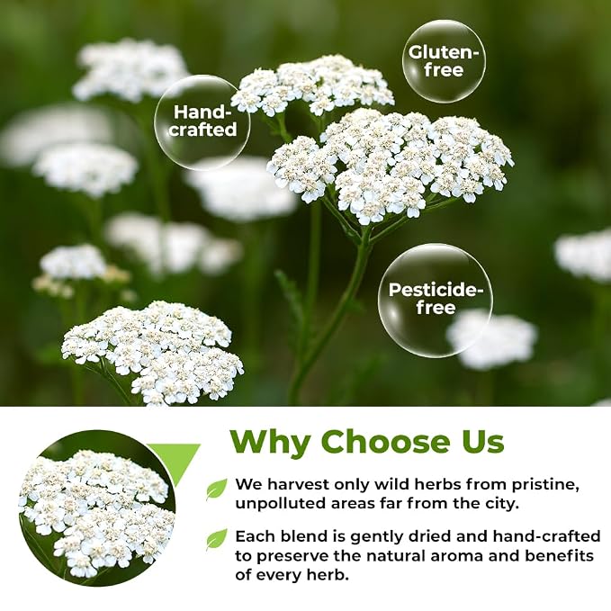 4 oz. Yarrow Herb Dried Yarrow Leaf & Flower Herbal Tea (Achillea Millefolium Tea) - 113g Herb Tea Milenrama