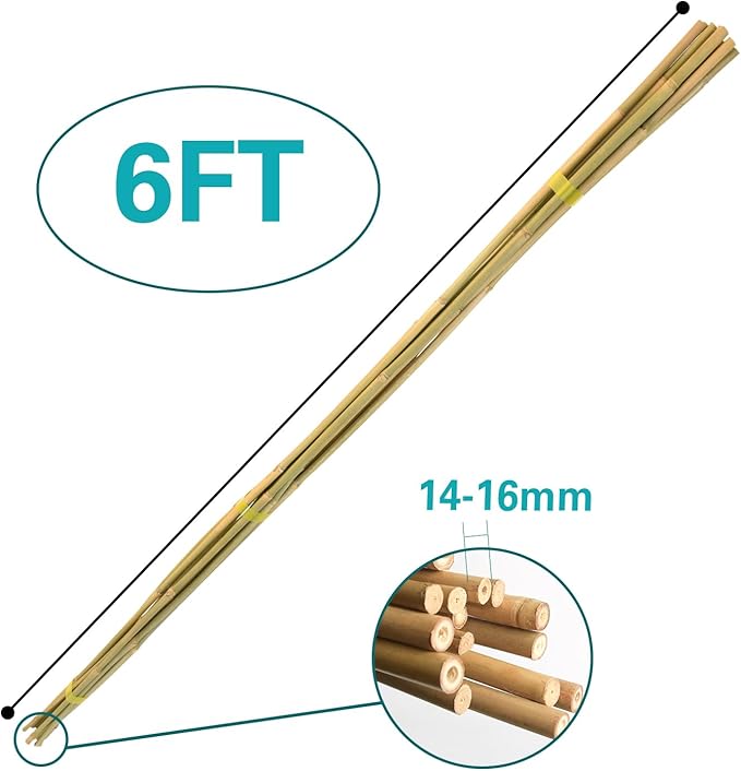 20pcs Bamboo Stakes 6 Feet, 6FT Garden Stakes Multi-Purpose, 5/8" Dia Plant Stakes for Tomatoes, Beans, Cucumbers, Peppers, Potted Trees, Maintain the Plant Posture, Strengthen and Stem