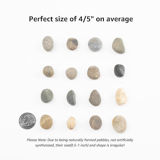 20 LBS Natural River Rocks - 1/2-1 inch Pebbles, Screened Decorative River Stones for Landscaping, Garden Pathway, Plant Stones, Craft Walkways, and Outdoor Decorative