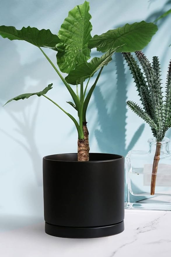 Yukfona Ceramic Plant Saucer Tray 4 Pcs 4 Inch Black, 4.53" OD x4.13 ID x0.9 Deep| Fits Flower pots Bottom≤ 4.13", Heavy Duty Glazed Round Planter Drip with Catch Basin for Indoor Outdoor Plants