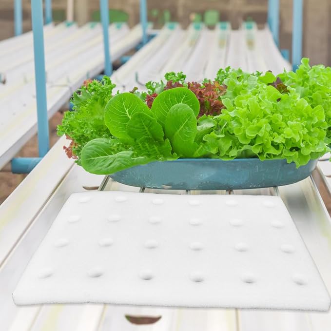 DOITOOL 24 Hydroponic Sponges Planting Tool Planting Tray with 24 Holes Floating Gardening Plate Soilless Cultivation Sponges Cubes Tray for Small Bud Growth & Grow Seedlings