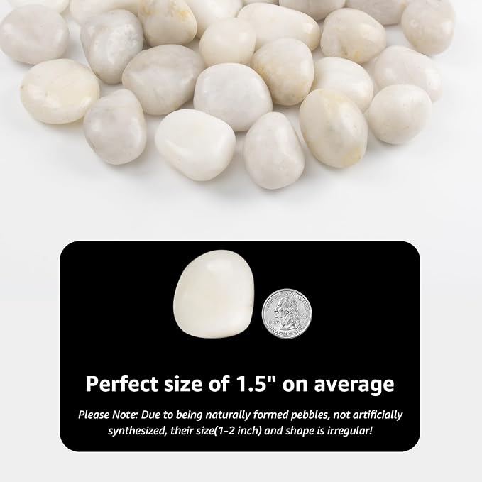 40lbs White River Rocks - 1-2Inch Natural White Rocks for Potted Plants, Decorative Rocks for Landscaping, and River Rocks for Aquariums (Weight : 40 LB, White)