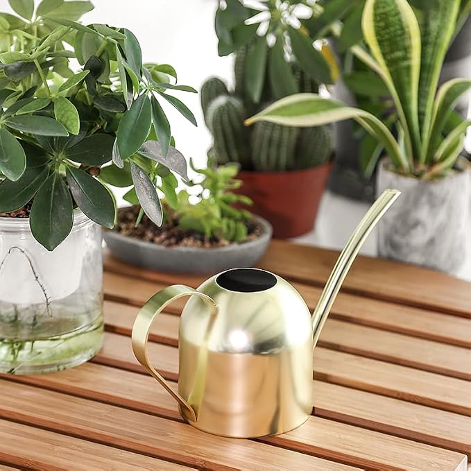 Stainless Steel Water Can for Indoor Plants and Garden (Gold 30 oz)