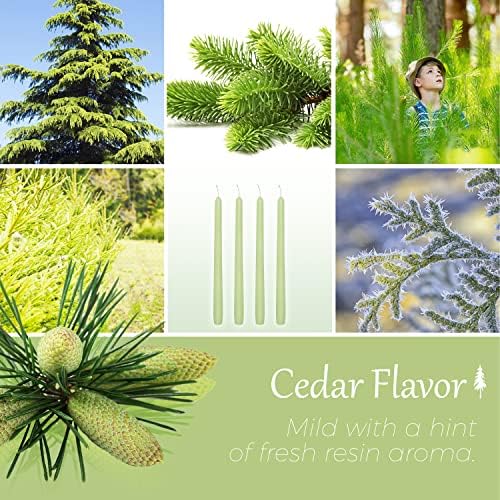 Cedar Scented Taper Candles 10'' Colored Candle Sticks Green Candles Set of 4 | Home Decor Kitchen Decor Wedding Decorations Candles - Image 4