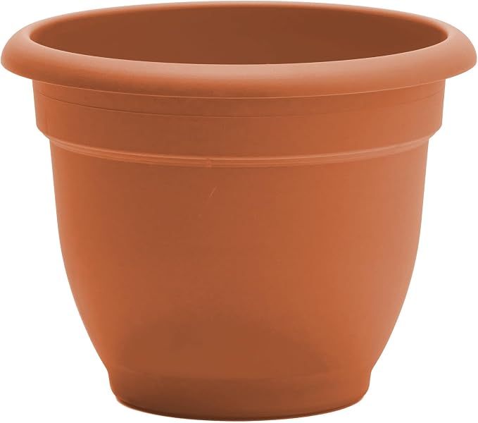 Bloem Ariana 10" Self-Watering Plastic Planter - Rolled Rim Indoor/Outdoor Garden Pot, Terra Cotta, 2-Pack