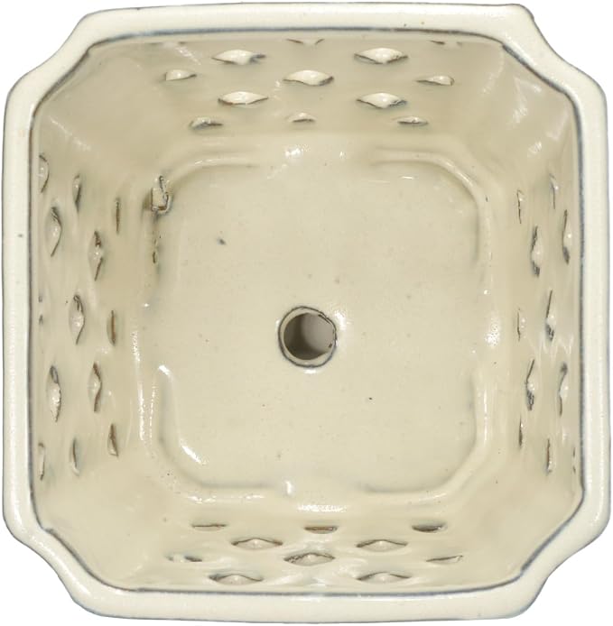 W&W Orchid Pot with Holes and Saucer for Repotting and Better Grow, Cream White, 7"